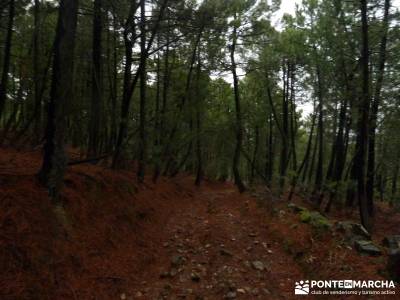 Valle de Iruelas - Pozo de nieve - Cerro de la Encinilla;senderos gran recorrido senderos mallorca